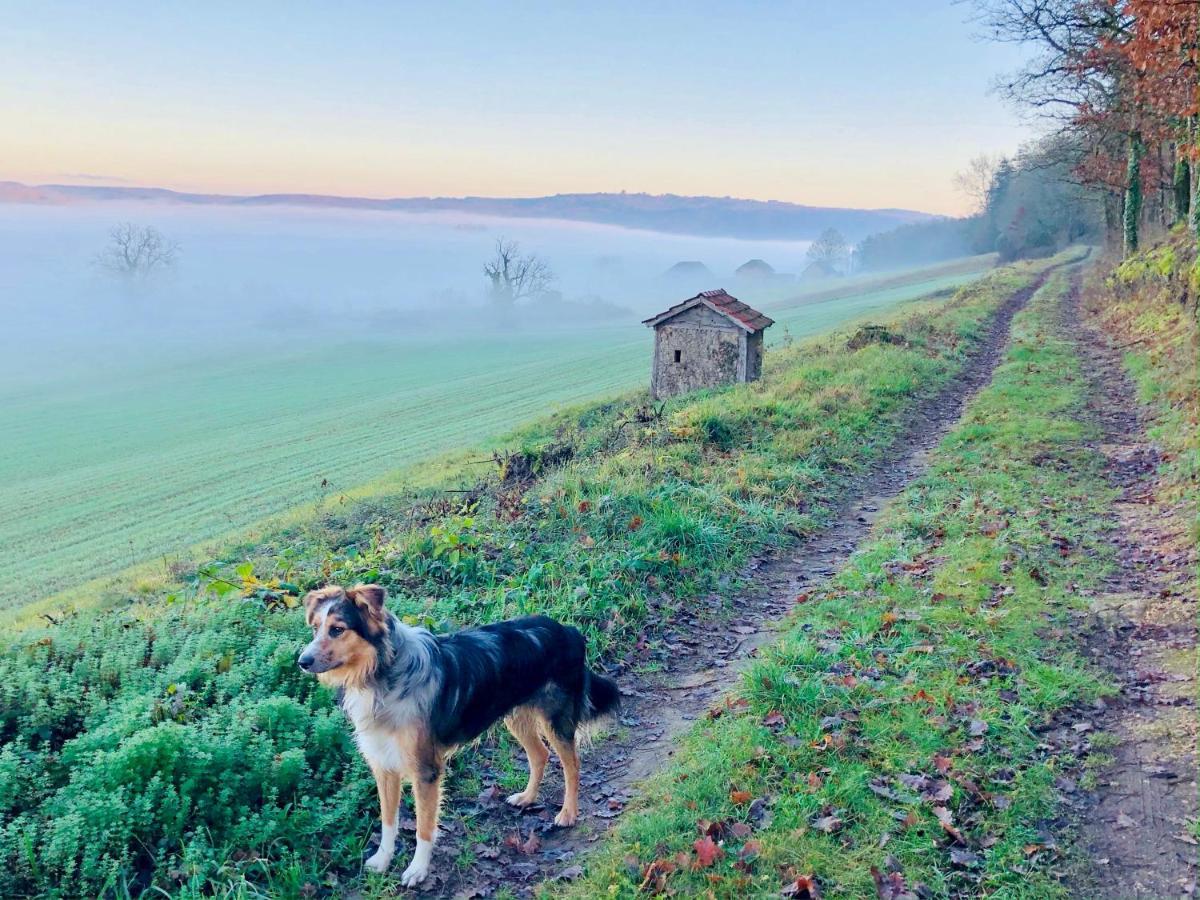 Montignac-Lascaux - Les Pierres D'Alexandre Bagian luar foto